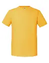 F185_Sunflower.webp