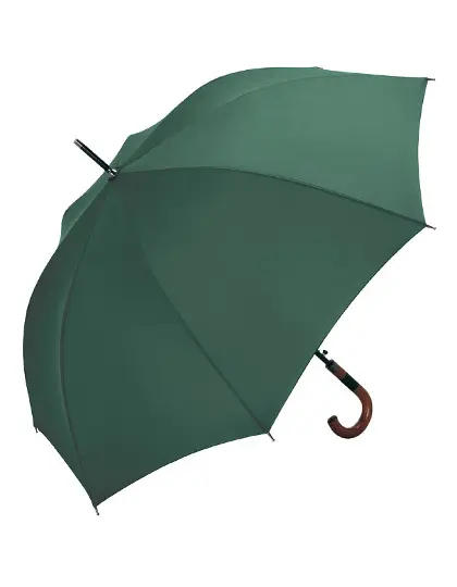 Schirm.webp