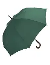 Schirm.webp