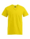 E3025_Gold.webp