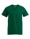 E3025_Forest.webp